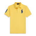 RL Dark yellow